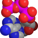 Adenosine_Triphosphate_Space-Filling