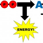 atpenergy